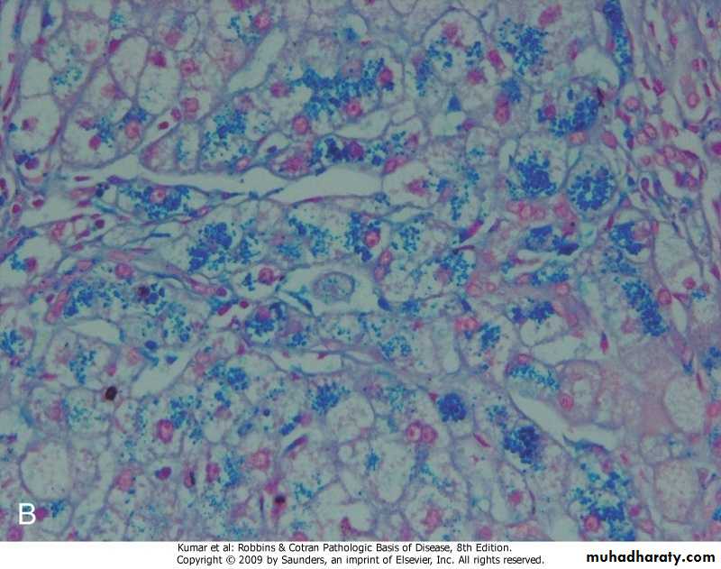 LIVER