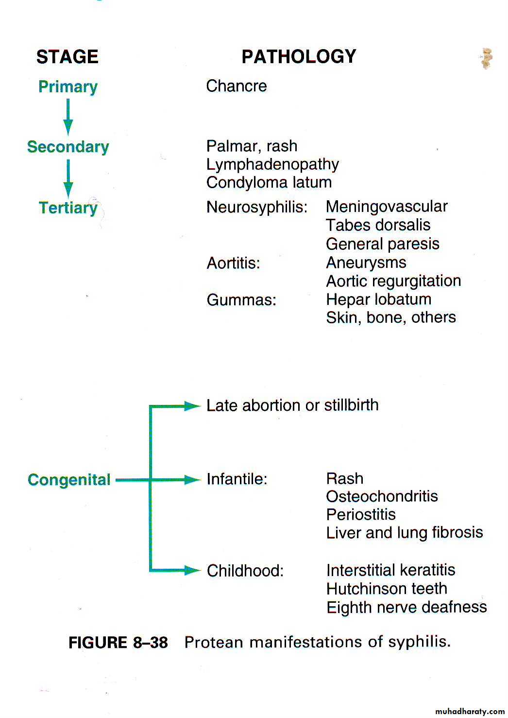 infectious diseases