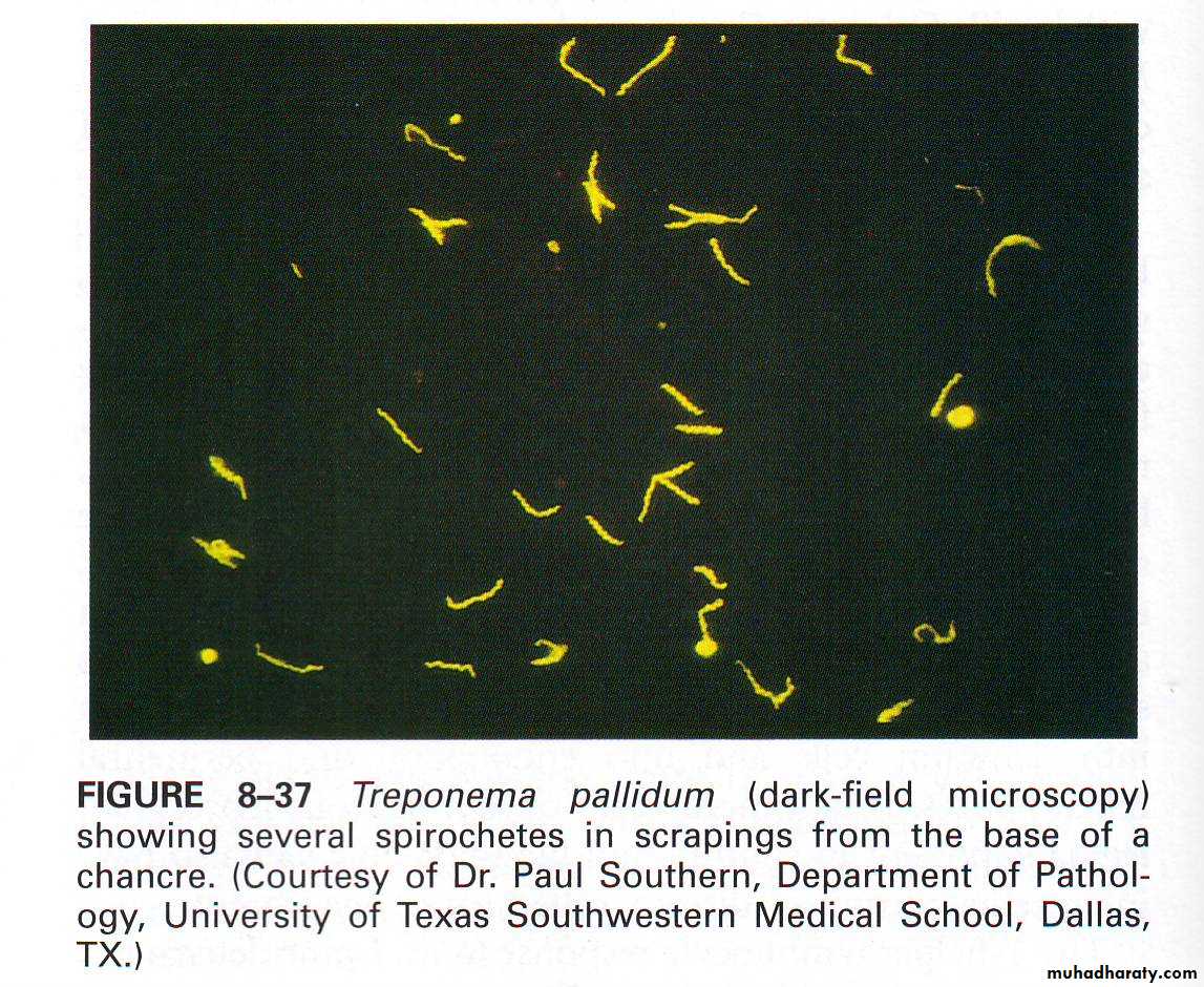 infectious diseases
