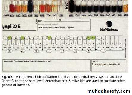 Diagnostic microbiology and