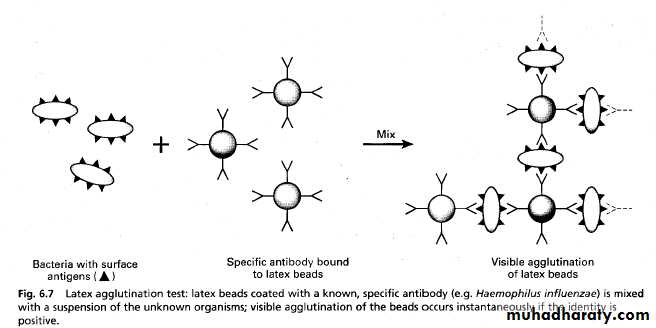 Diagnostic microbiology and