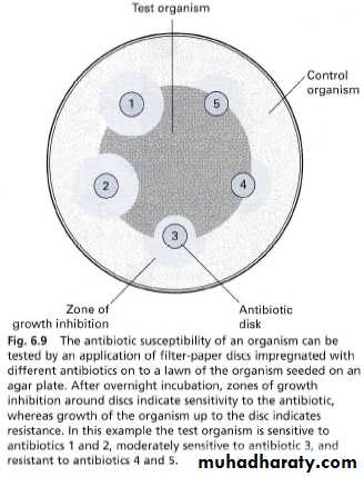 Diagnostic microbiology and