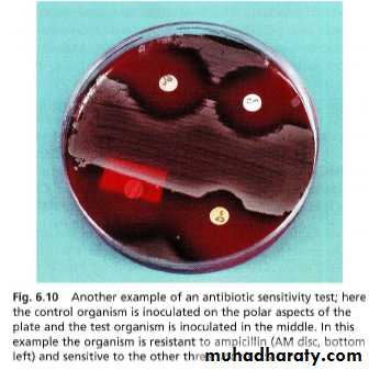 Diagnostic microbiology and
