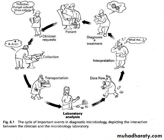 Diagnostic microbiology and