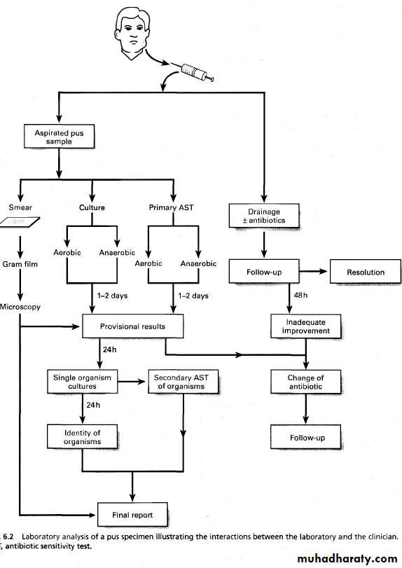 Diagnostic microbiology and