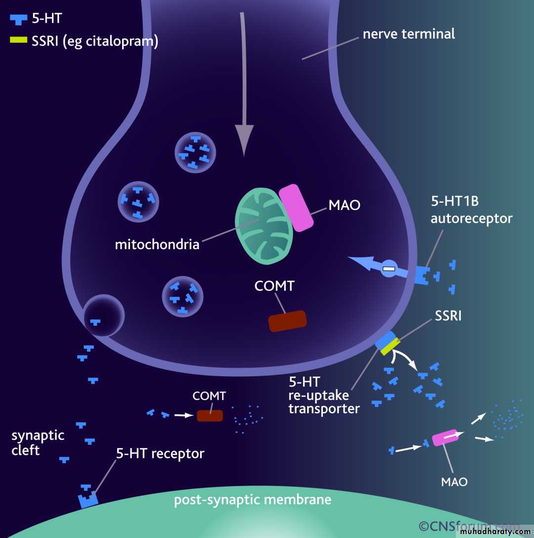 anti depressant and neuroleptic