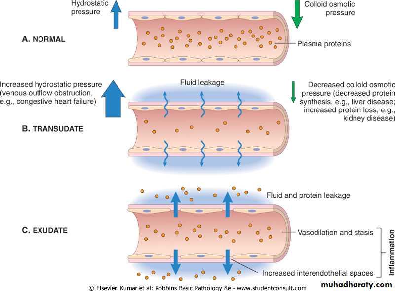 inflammation