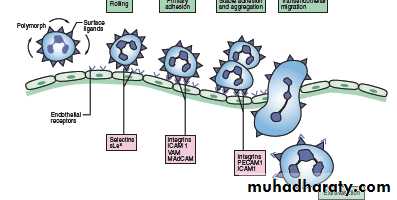 inflammation