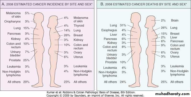 Oncology