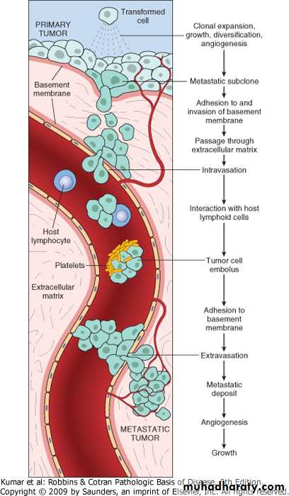 Oncology