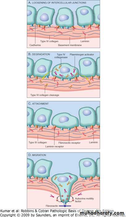 Oncology