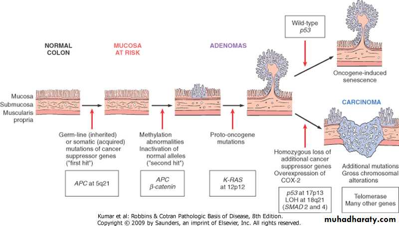 Oncology