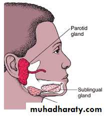 chicken pox small pox mumps