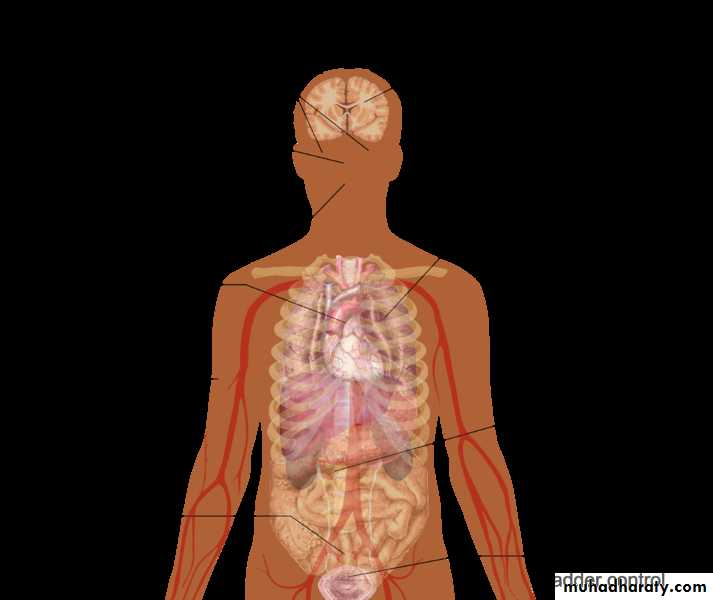 Allergic Diseases