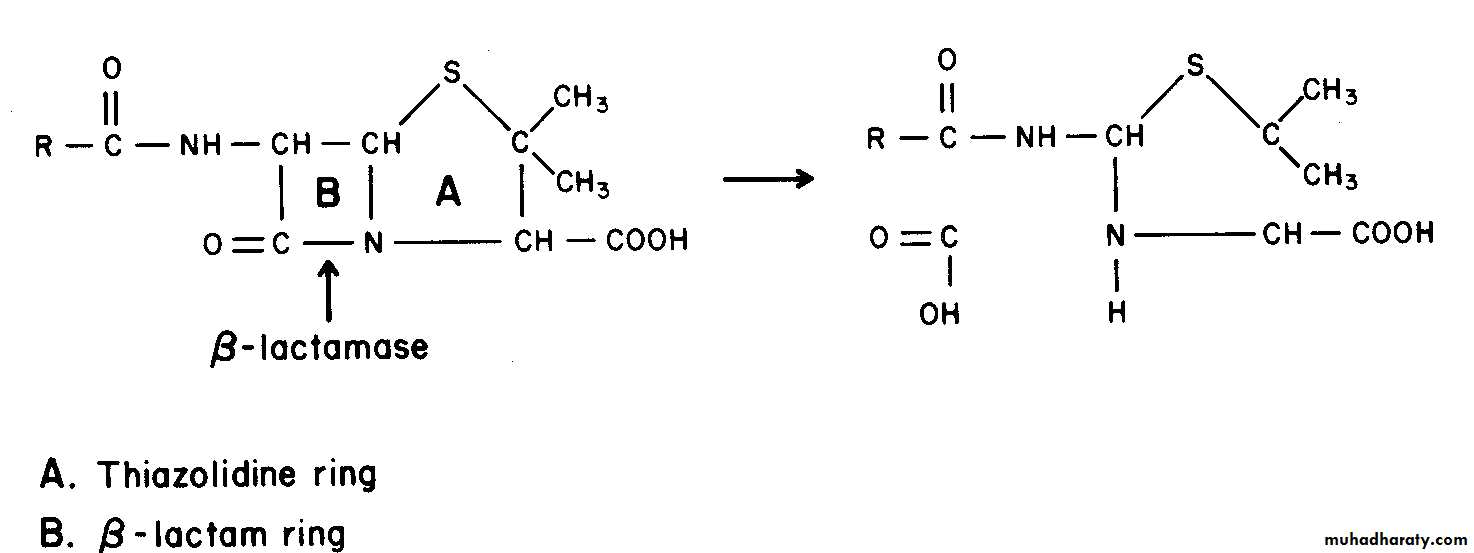 antimicrobial drugs