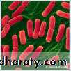 antimicrobial drugs