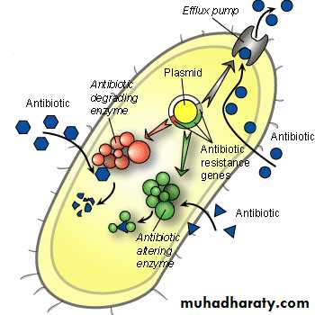 antimicrobial drugs