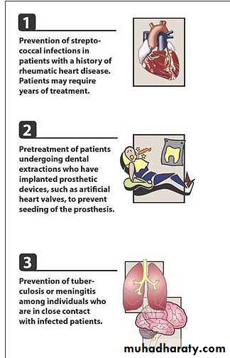 antimicrobial drugs