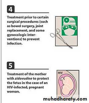 antimicrobial drugs