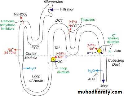 diuretics