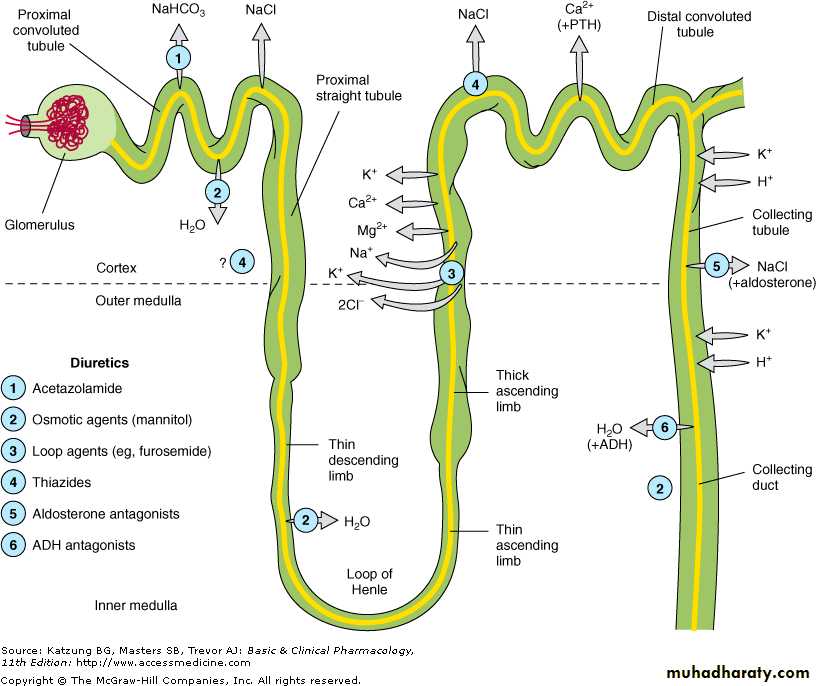 diuretics
