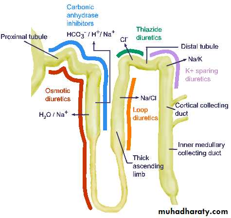 diuretics