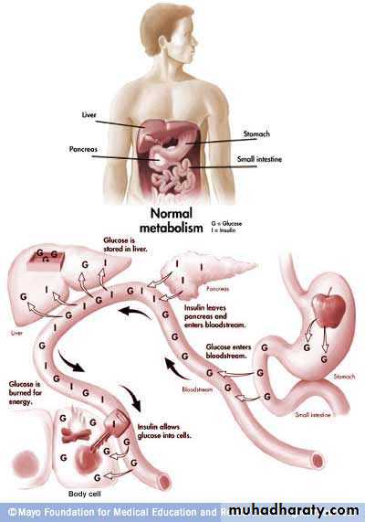diabetes mellitus in pregnancy