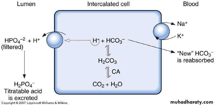 diuretics