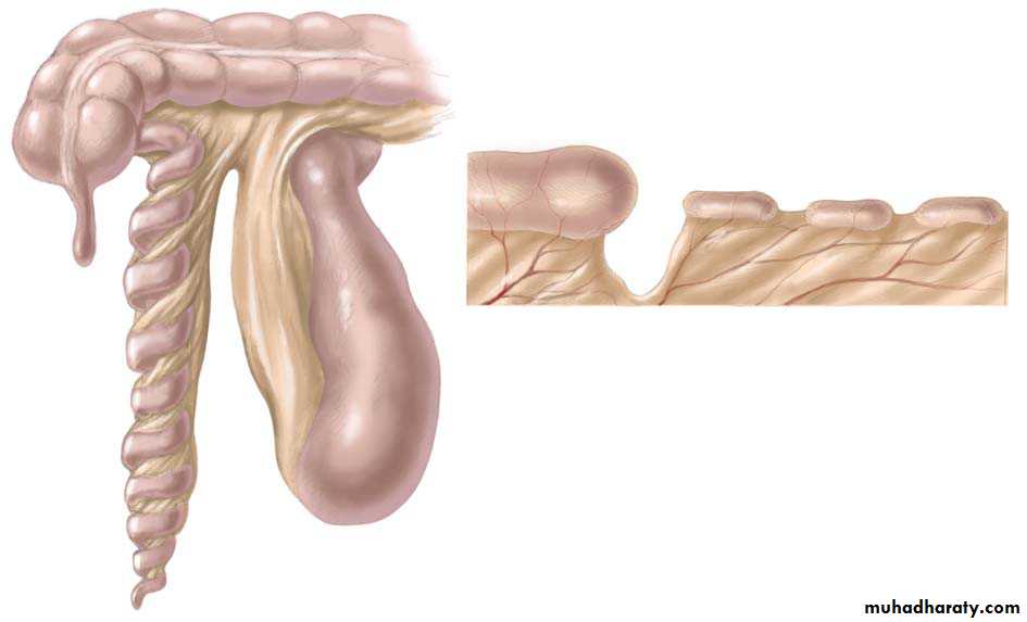introduction to pediatric surgery