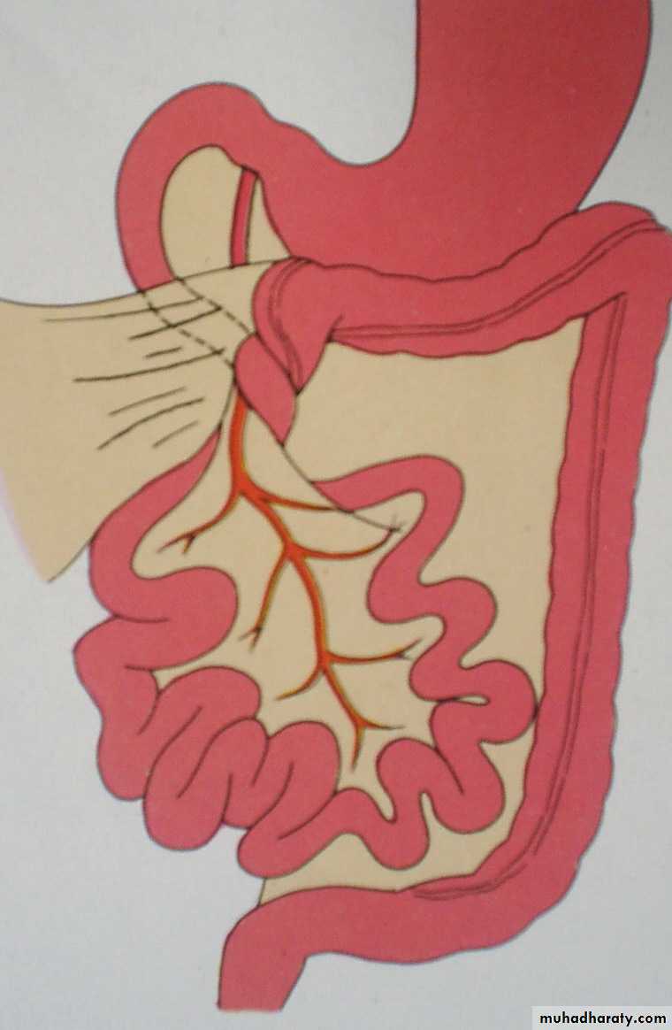 introduction to pediatric surgery