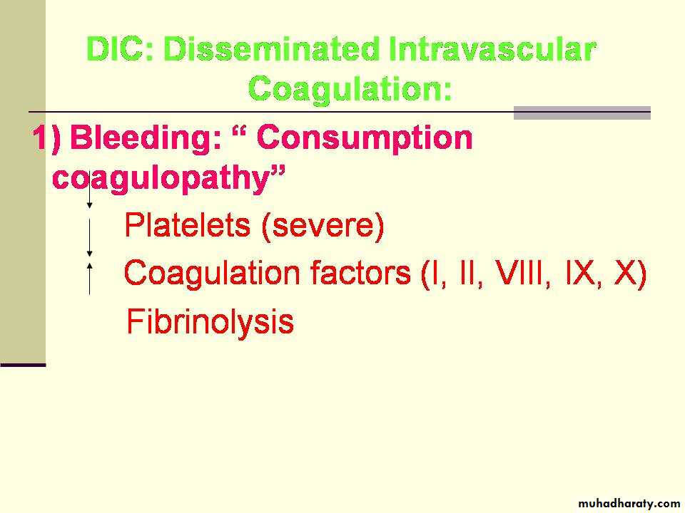 hematology