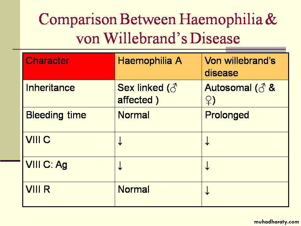 hematology