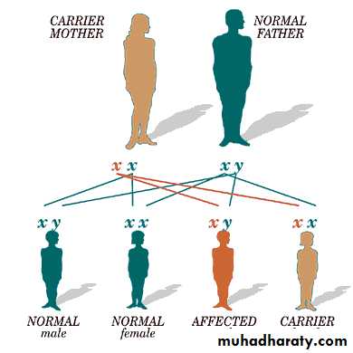 hematology