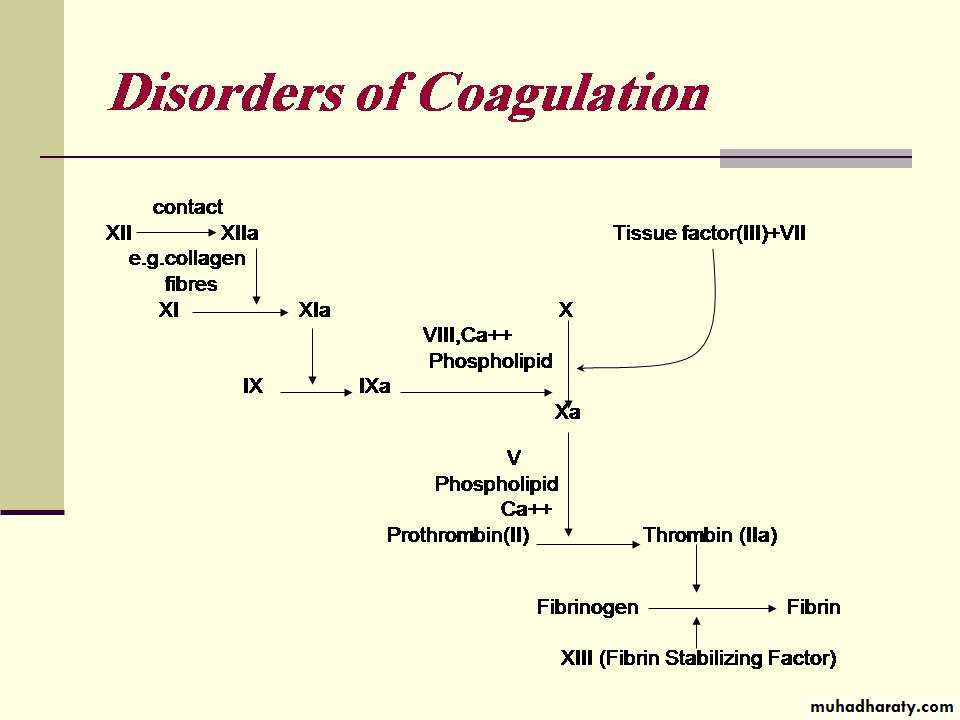 hematology
