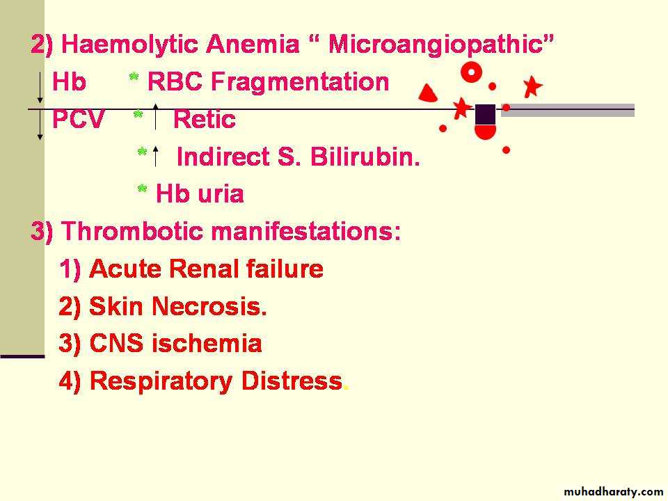 hematology