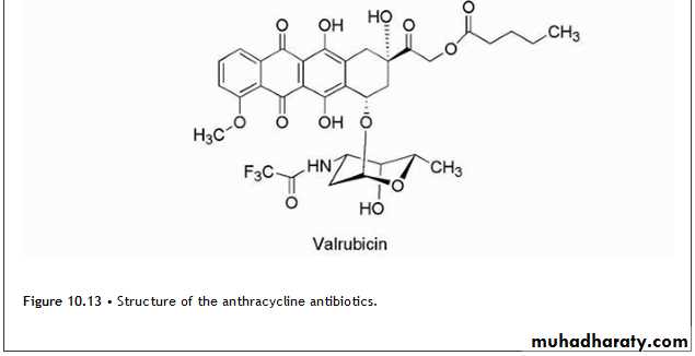 Anti-Cancer lec 3-4