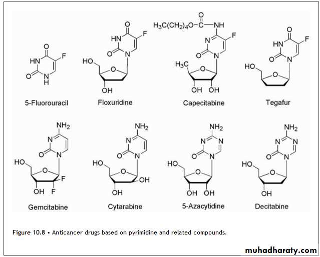 Anti-Cancer lec 3-4