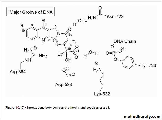 Anti-Cancer lec 3-4