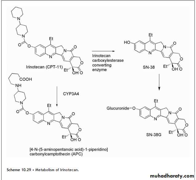 Anti-Cancer lec 3-4