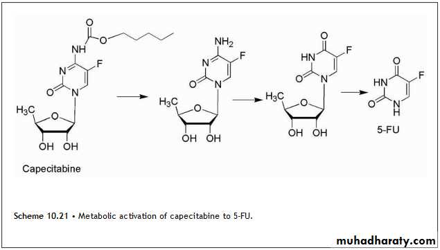 Anti-Cancer lec 3-4