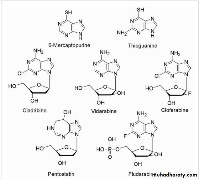 Anti-Cancer lec 3-4