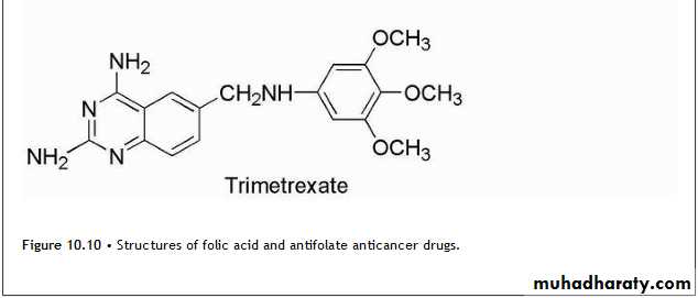 Anti-Cancer lec 3-4