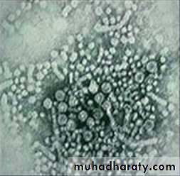 hepatitis