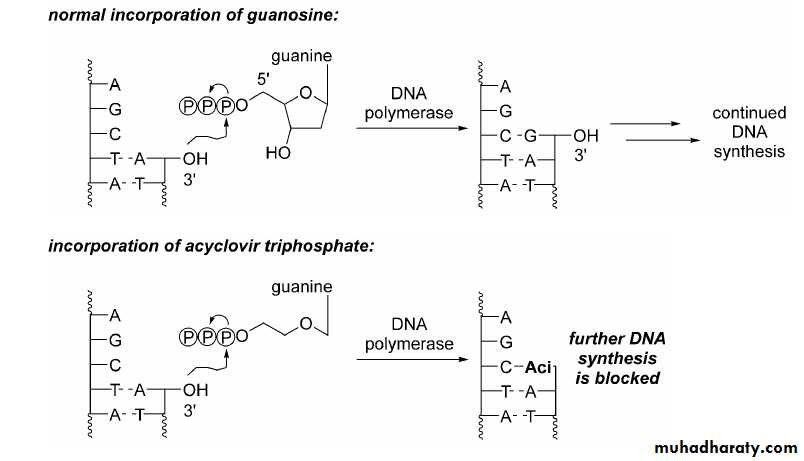 Antiviral Drugs
