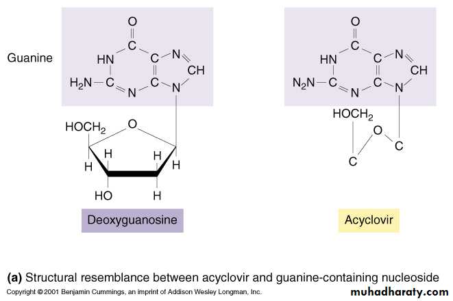 Antiviral Drugs