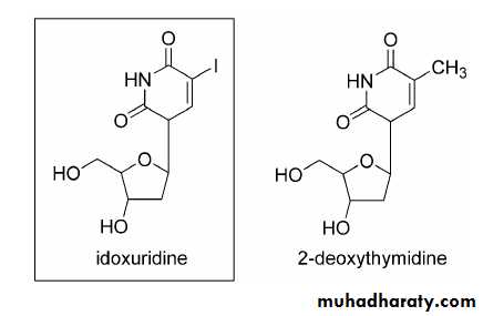 Antiviral Drugs