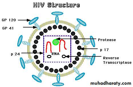 Antiviral Drugs