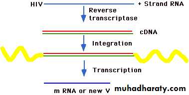 Antiviral Drugs