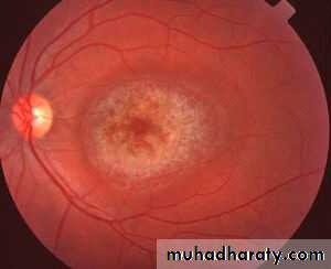 Antiviral Drugs