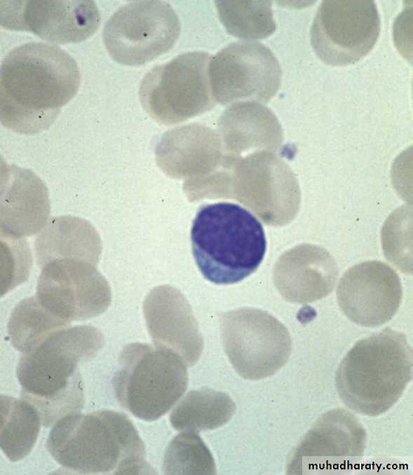 Ganglia